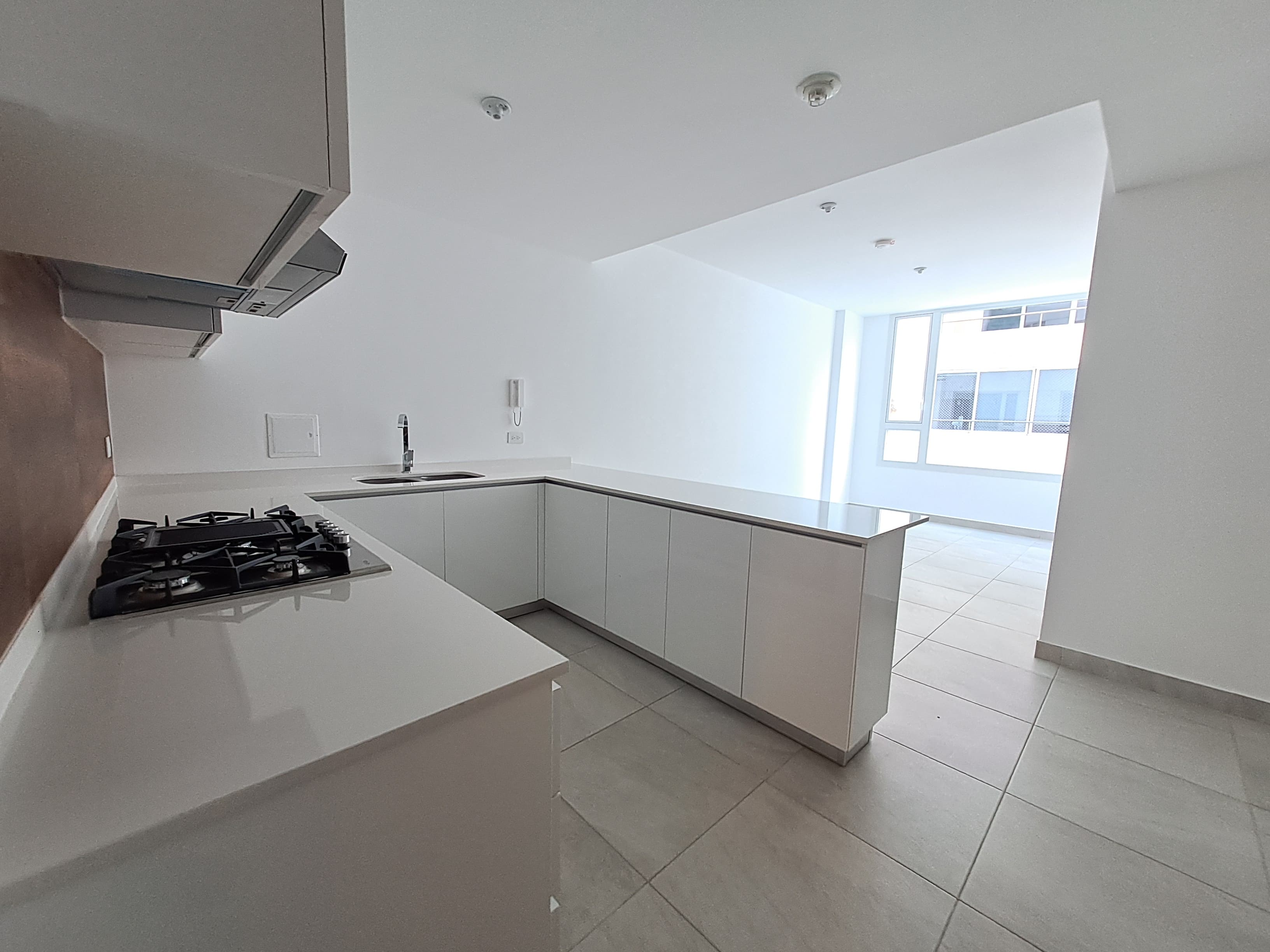 Apartamento en Alquiler en el Cangrejo - PH Van gogh